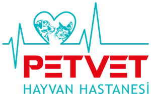 Petvet Petshop Ürünleri | Kedi, Köpek ve Evcil Hayvan Ürünleri