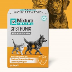 Mixtura Pharma Gastromix