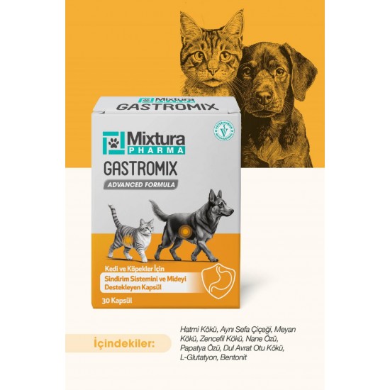 Mixtura Pharma Gastromix