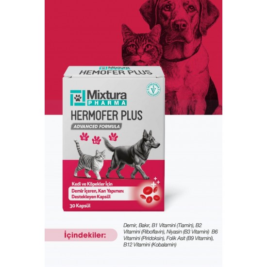 Mixtura Pharma Hemofer Forte Kan Yapımını Destekleyici Kapsül