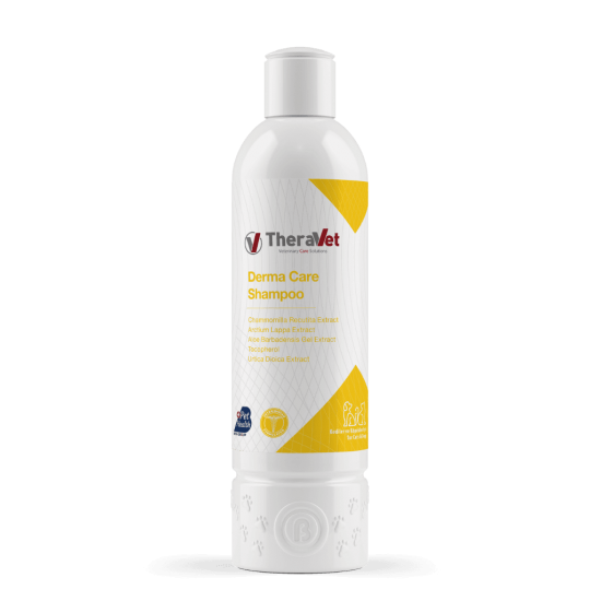 Derma Care Shampoo